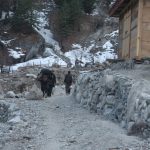 Fairy Meadows Pakistan