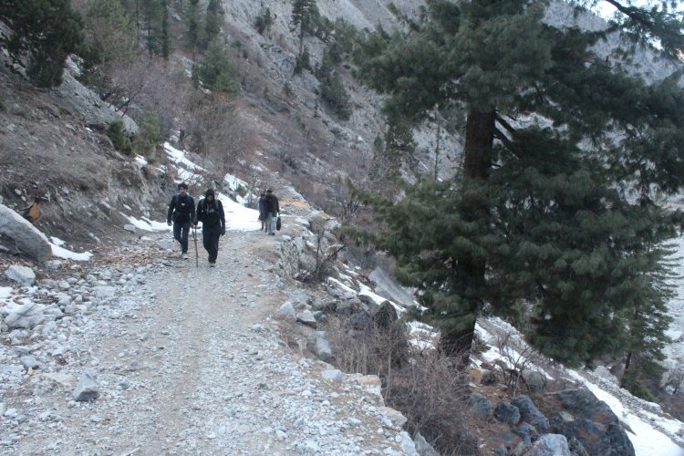 Fairy Meadows Pakistan
