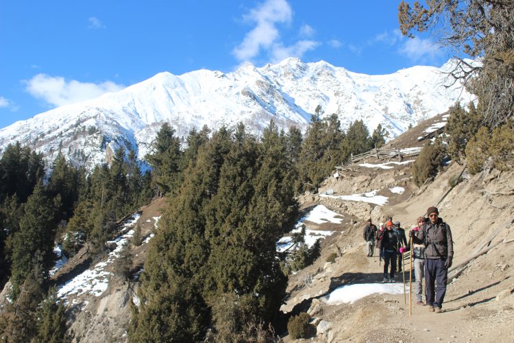 Fairy Meadows Pakistan
