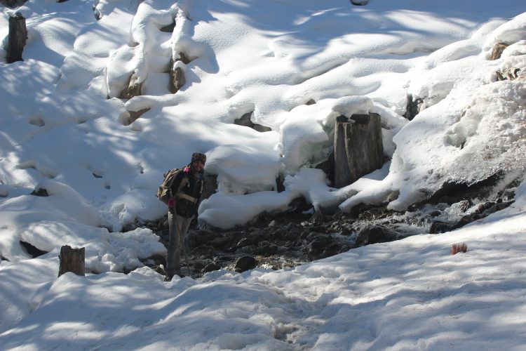 Fairy Meadows Pakistan