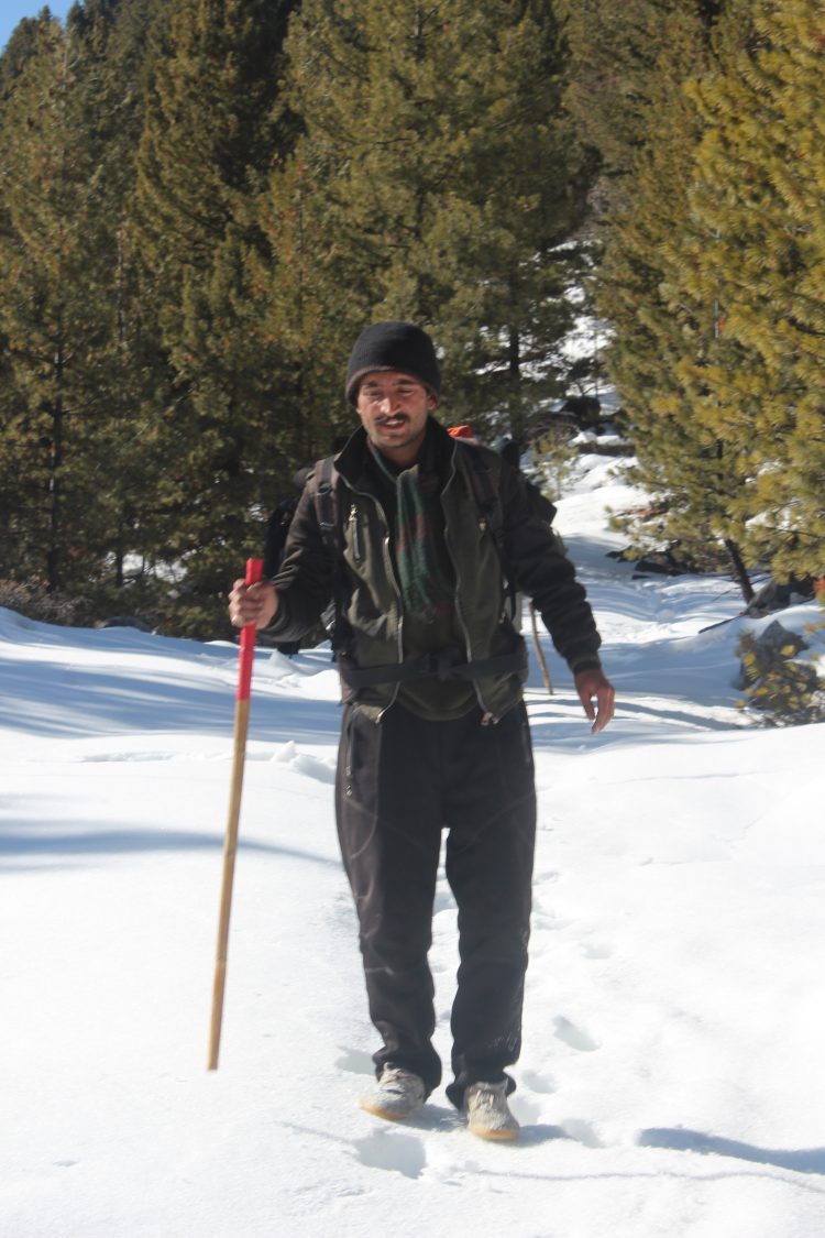 Fairy Meadows Pakistan