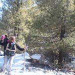 Fairy Meadows Pakistan