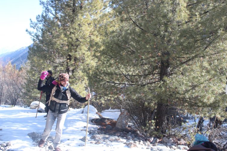 Fairy Meadows Pakistan
