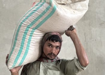 Following the global food chain